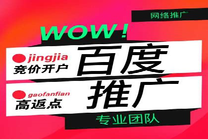 行业领先企业如何通过网络推广实现竞价增长